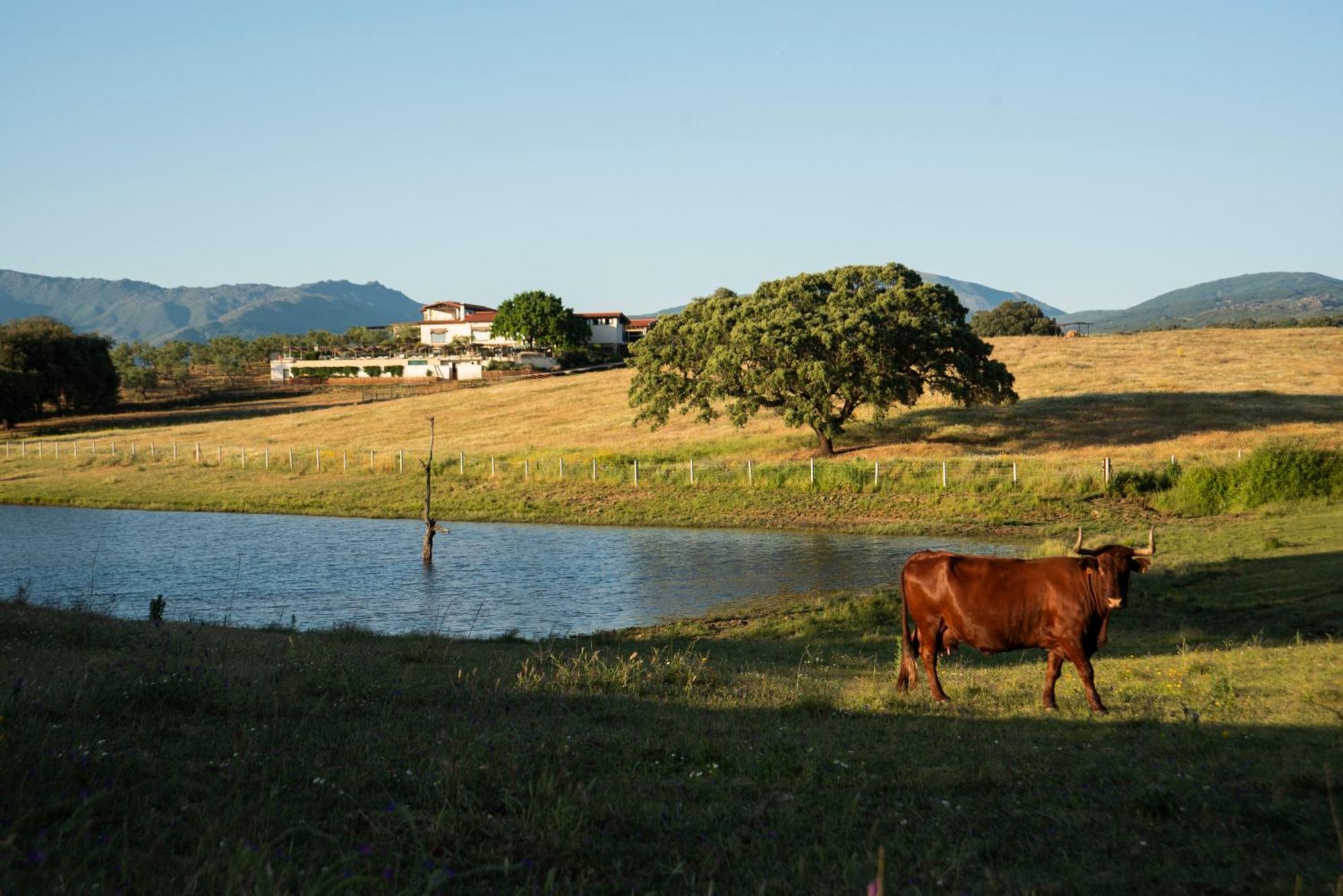 Habitat Cigueena Negra Valverde del Fresno Exterior photo